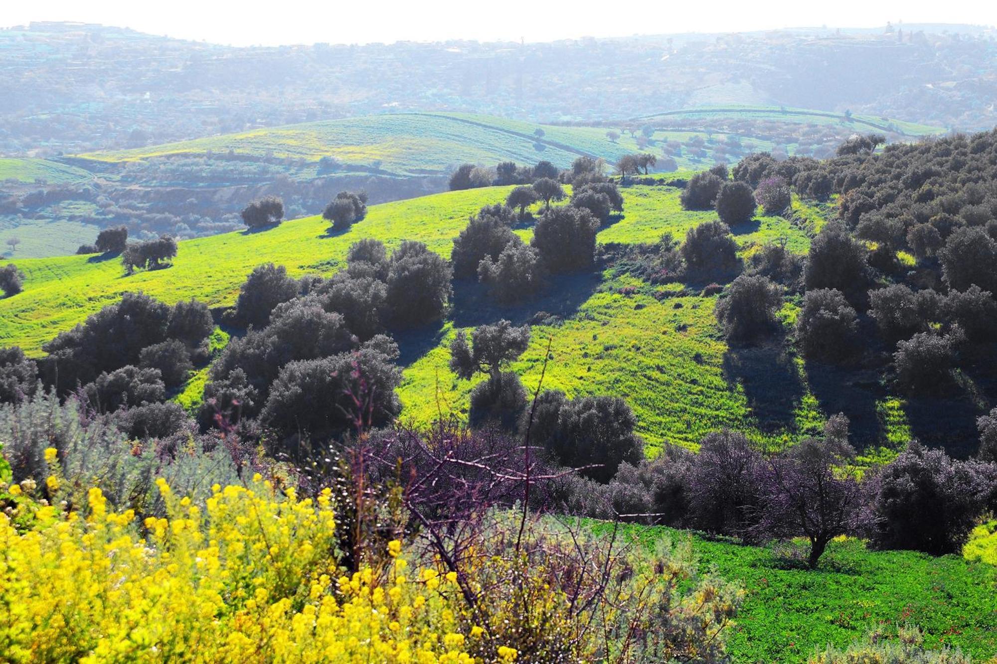 Agriturismo Giannavi Palazzolo Acreide Dış mekan fotoğraf